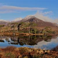 Winning Connemara entry